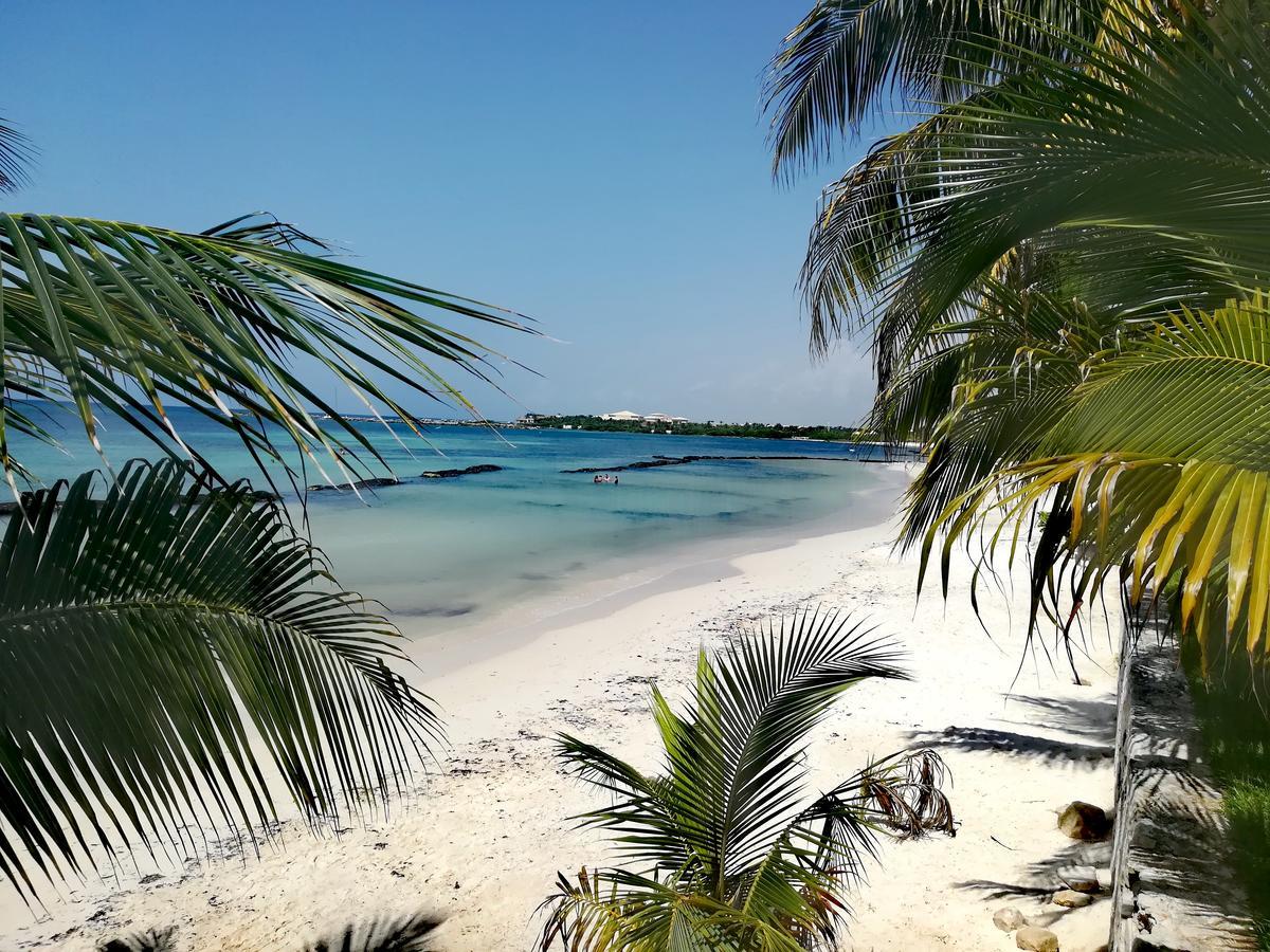 Villas Picalu Lodge プエルト・アベントゥラス エクステリア 写真